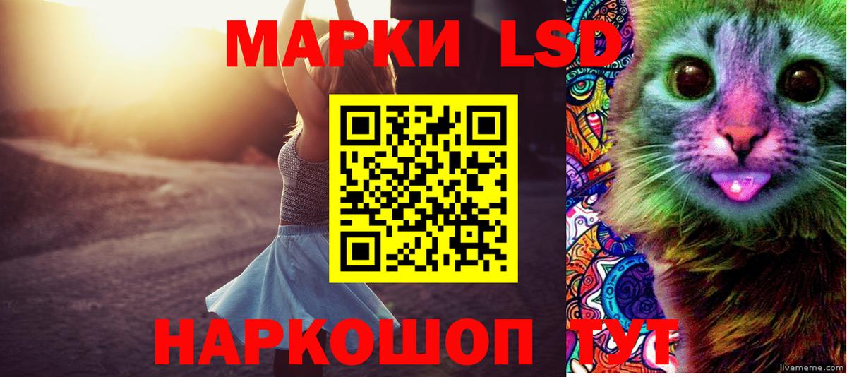 Бердск  LSD-25 экстази  Вход с VPN  ЛСД экстази ecstasy  ЛСД экстази ecstasy 