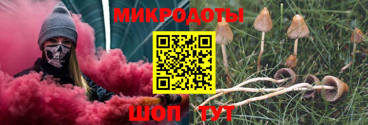 Псилоцибиновые грибы Magic Shrooms  Галлюциногенные грибы Magic Shrooms  Вход с VPN  Бердск 